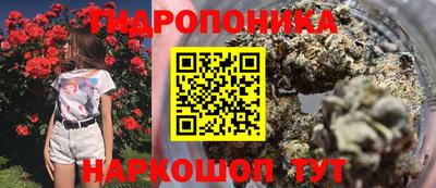 ПСИЛОЦИБИНОВЫЕ ГРИБЫ Можга
