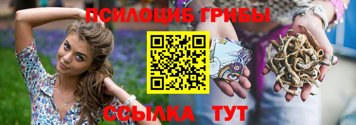 наркота  Вход с VPN  Карпинск  Псилоцибиновые грибы Cubensis  Галлюциногенные грибы мицелий 